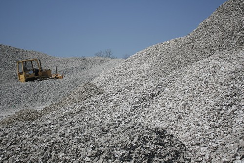 Oyster Shells, Apalachicola, Florida (2009)