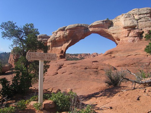 Futurity, Arches National Park