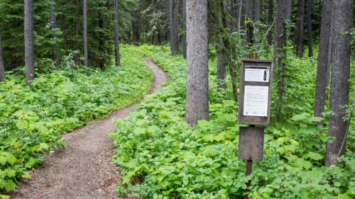 Pacific Northwest Trail