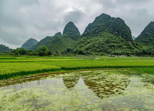 Near Yangshuo